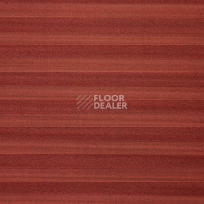 Ковролин Carpet Concept Sqr Nuance Stripe 5 Terra фото 1 | FLOORDEALER